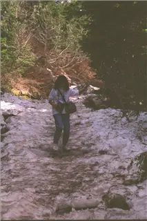 small_9400 1231 cew seattle etcIMG0072.webp